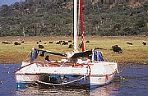 Sail Safaris