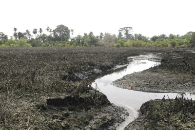 Oil spill Niger Delta.