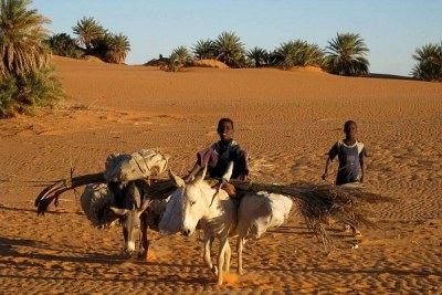 Fada, capital of northern region Ennedi in Chad.