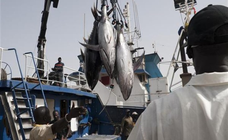 Tanzania: Illegal Fishing in Zanzibar Still a Big Headache - allAfrica.com