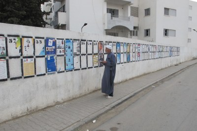A man checks out posters of electoral lists (file photo).