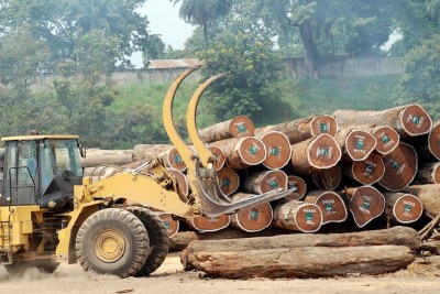 Un engin prêt à transporter des grumes provenant de la forêt équatoriale en RD Congo pour une exportation.