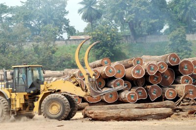 Un engin prêt à transporter des grumes provenant de la forêt équatoriale en RD Congo pour une exportation.