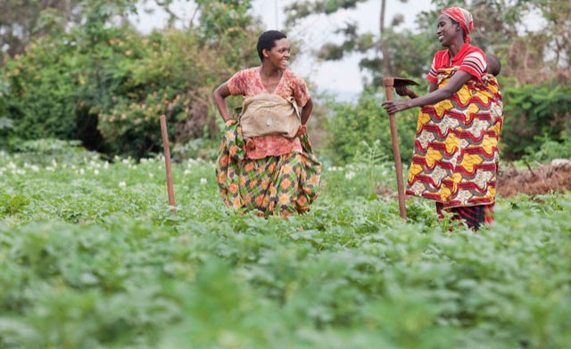 PhotoEssay » Burundi: Feeding a Rapidly Growing Population - allAfrica.com