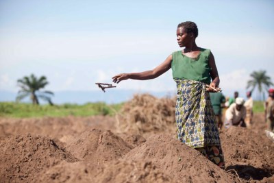 Women farmers in Burundi.
