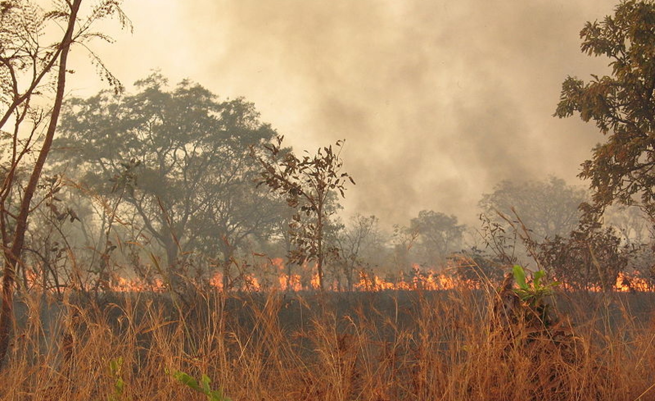 Africa Scientists Develop Improved Fire Management Tools for Africa's