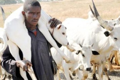 Fulani herdsman in Nigeria