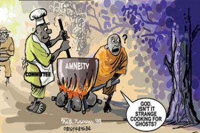 Mixed reactions trail Boko Haram amnesty.