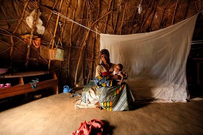 Anti-malaria outreach efforts in rural Nigeria reach nomadic villages deep in the bush, providing insecticide-treated nets, as well as treatment to pregnant women.