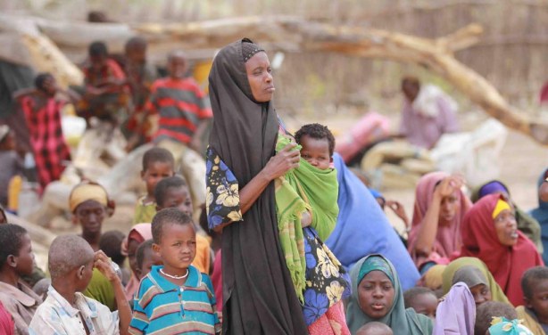 Somalia Records Increase in Rape Cases - Govt - allAfrica.com