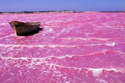 Senegal, lac rose