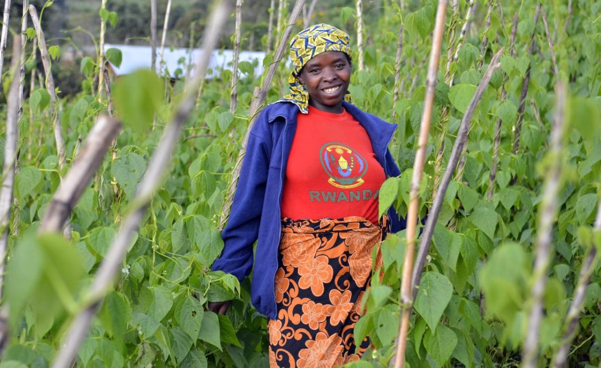 Cooperatives Bring New Hope to Rwanda's Farmers