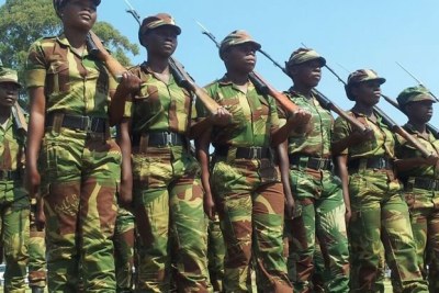 Zimbabwe National Army Parade.