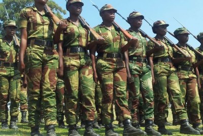 Zimbabwe National Army Parade (file photo).