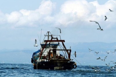 La flotte de pêche espagnole empêchée d’opérer au Maroc faute de licences