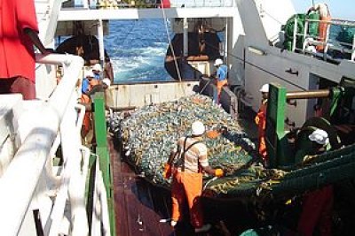 Namibia is a top African fishing country, with large reserves and an industry that employs about 8,000 workers.