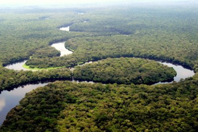 Rivière dans le parc national de la Salonga, Forêt équatoriale.