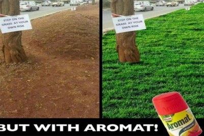 Some mocked Governor Kidero's request to not step on the newly planted grass.