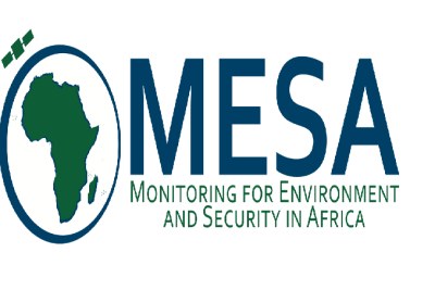 Forum de Surveillance de l’Environnement pour la Sécurité en Afrique (MESA)