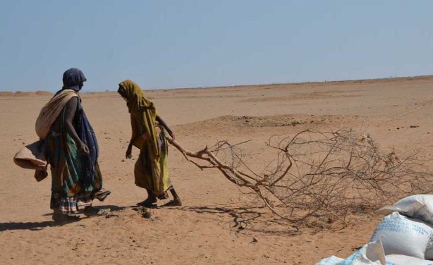 Ethiopia Drought Threatens Survival Of 10 Million People