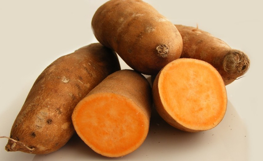Nigeria Yam Validated to Treat Cancer, Diabetes, Pain, Bone Loss
