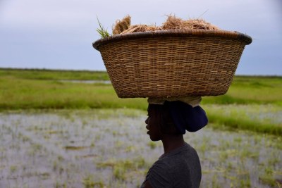 Femme qui porte un panier sur la tête - Enampor (Senegal)