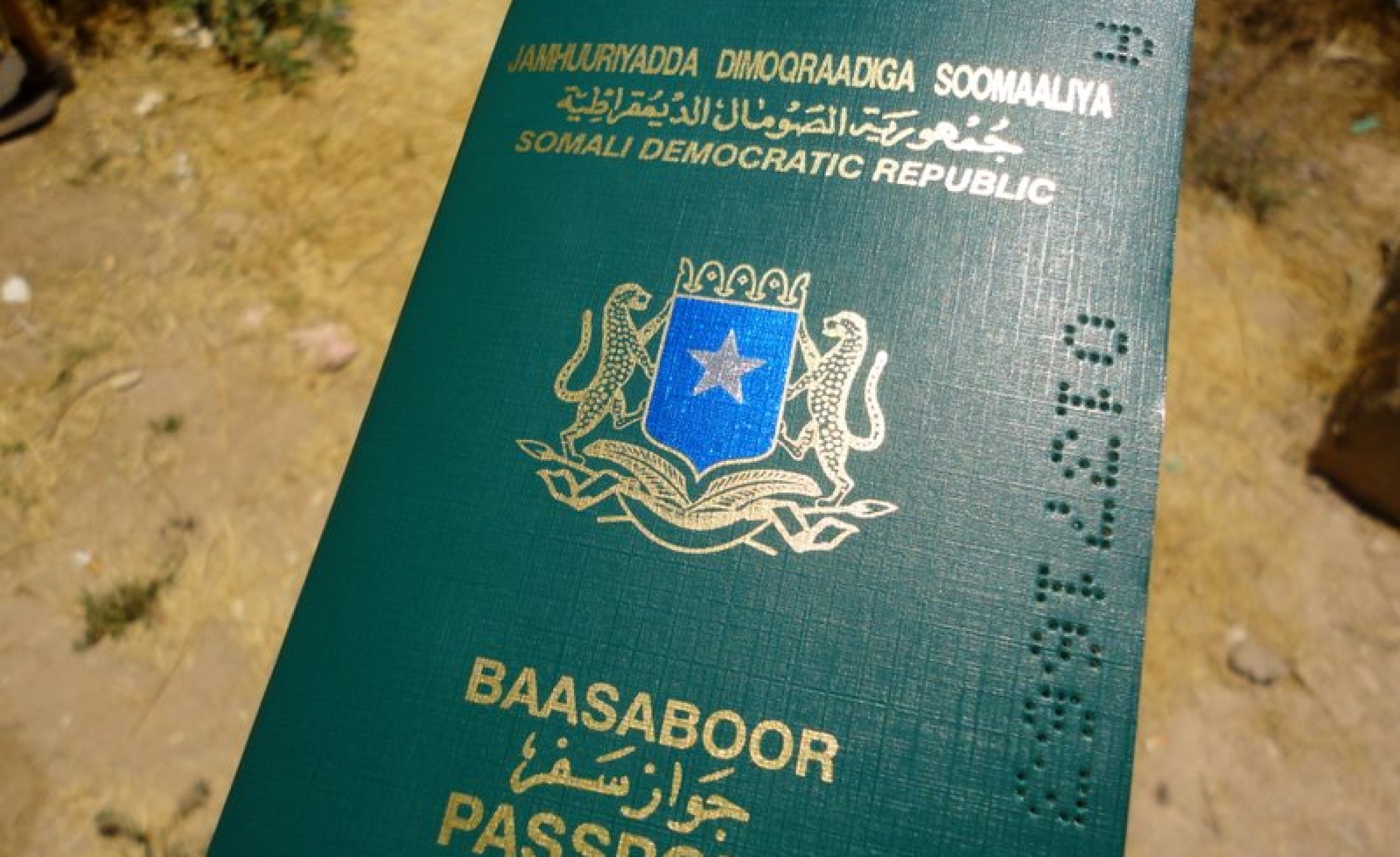 pasport na vagon dom