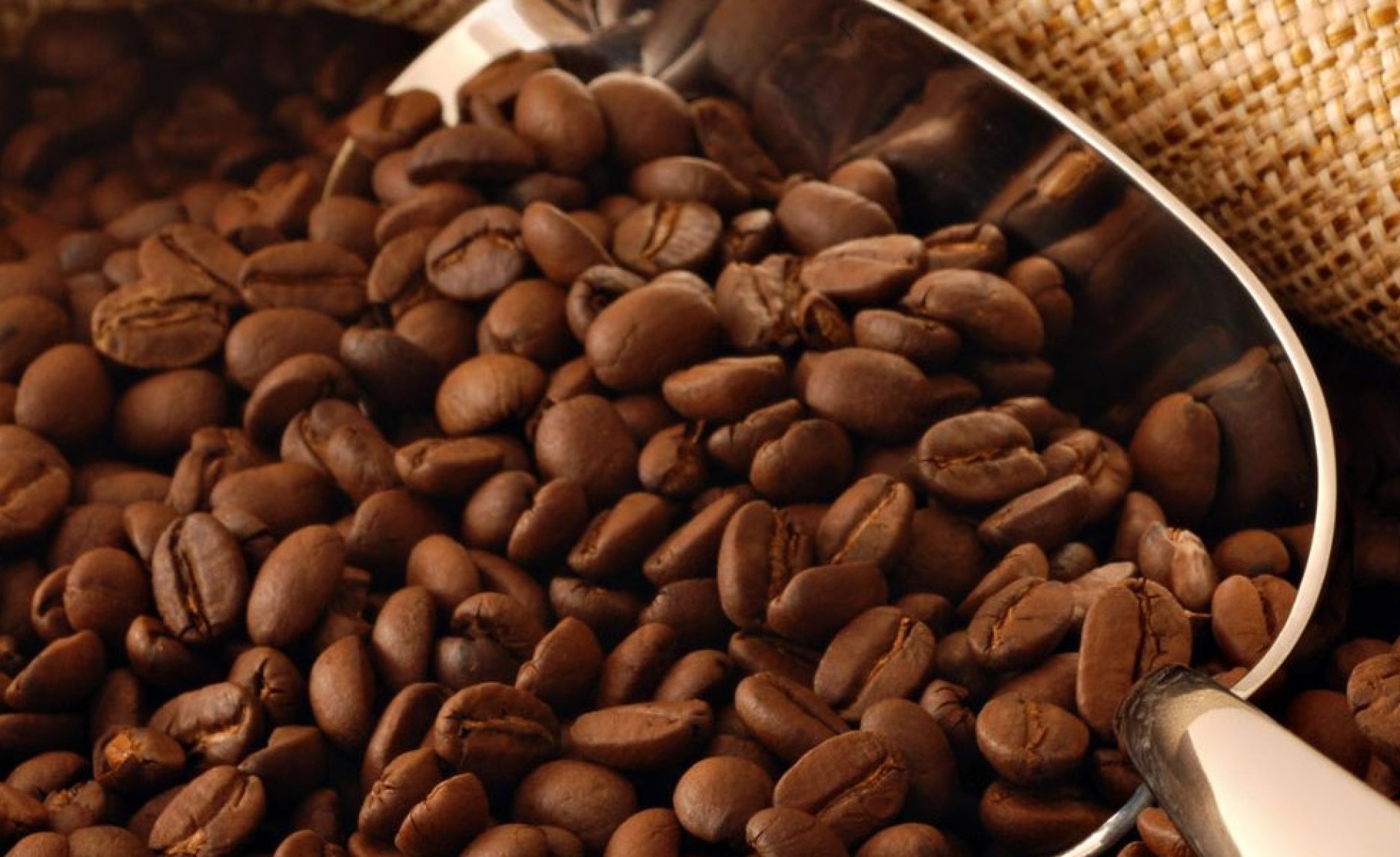 Ethiopia to Dominate Global Coffee Market Soon, Says Expert - allAfrica.com