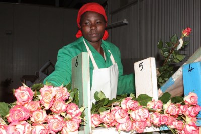 Kenya exports flowers all over the world (file photo).