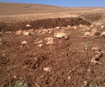 Morocco: No Tilling on This Farm #COP22