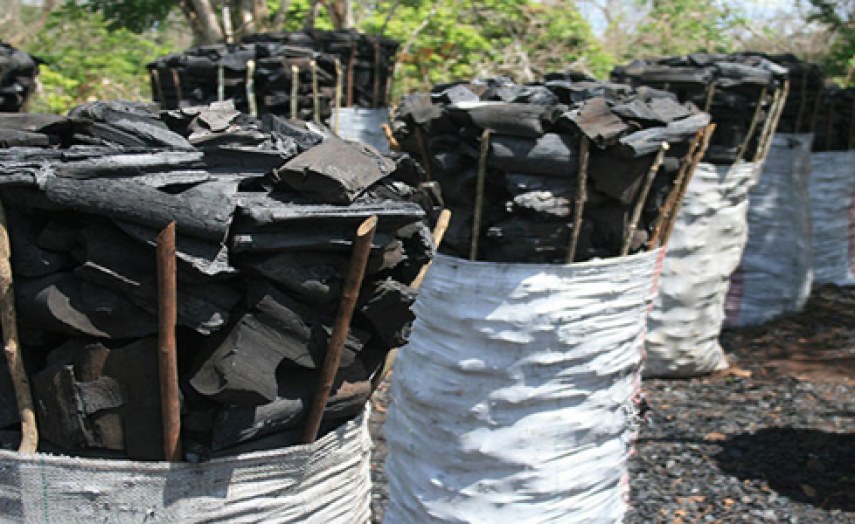 Somalia Kismayo On the Spot Over Illegal Charcoal Exports