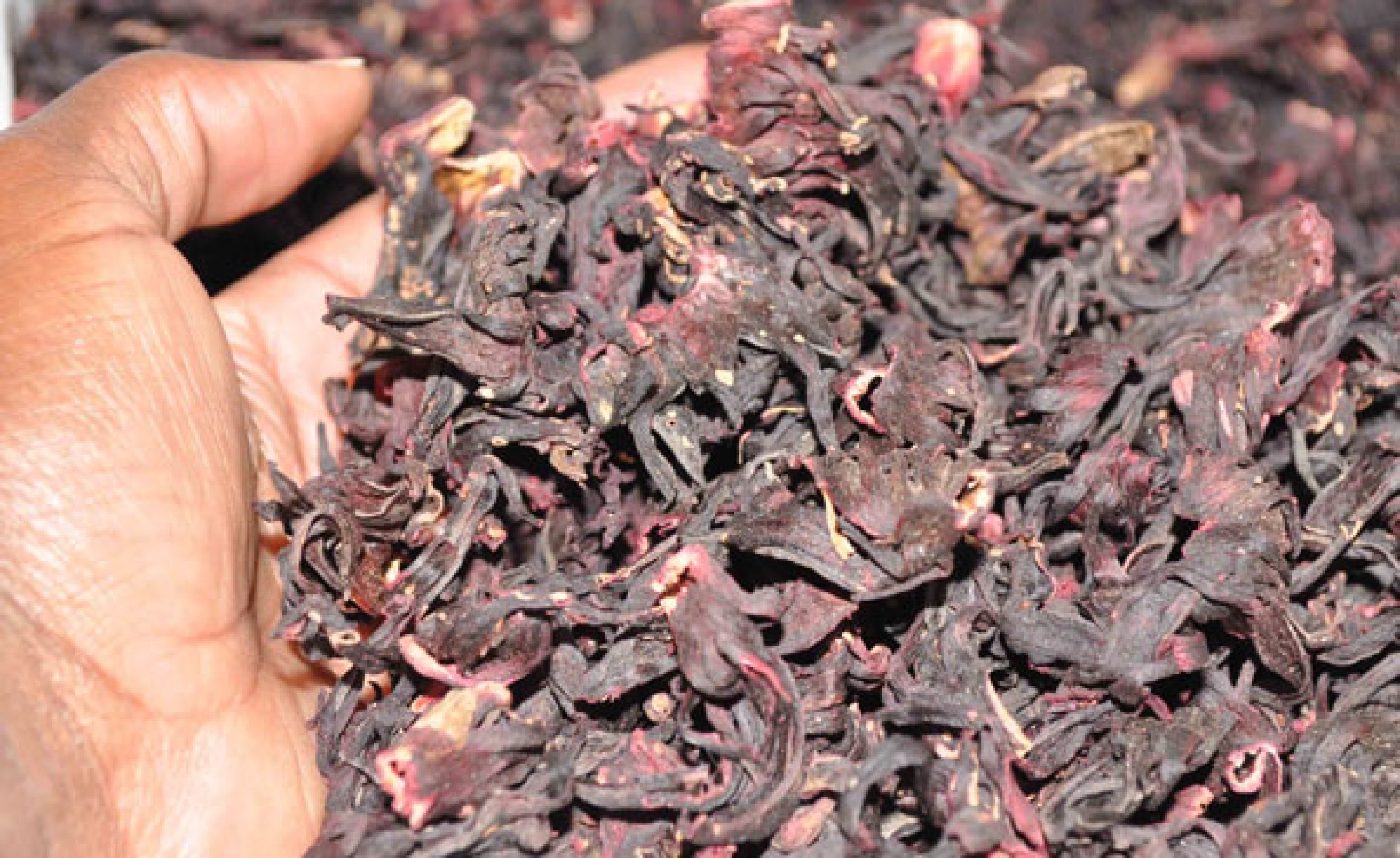 Uganda Turning Hibiscus Flowers Into Wine, Juice