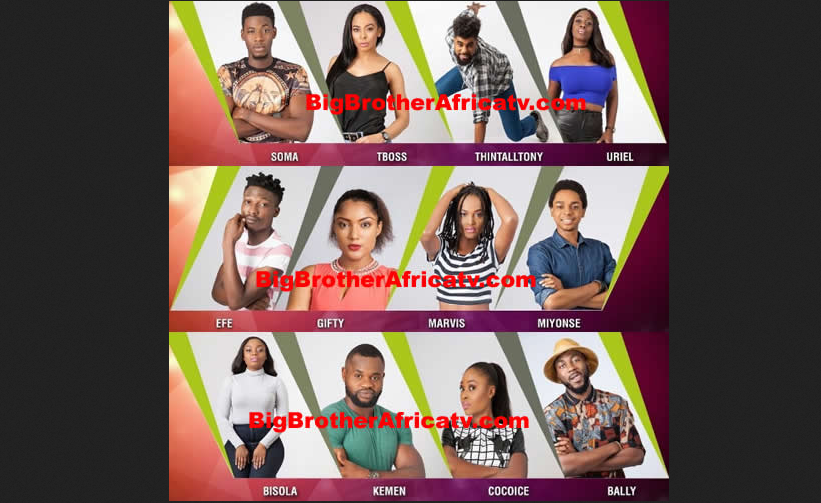 Nigeria House Rules For Brothernaija 2017 Contestants Nigeria House Rules For Brothernaija 2017 Contestants Allafrica