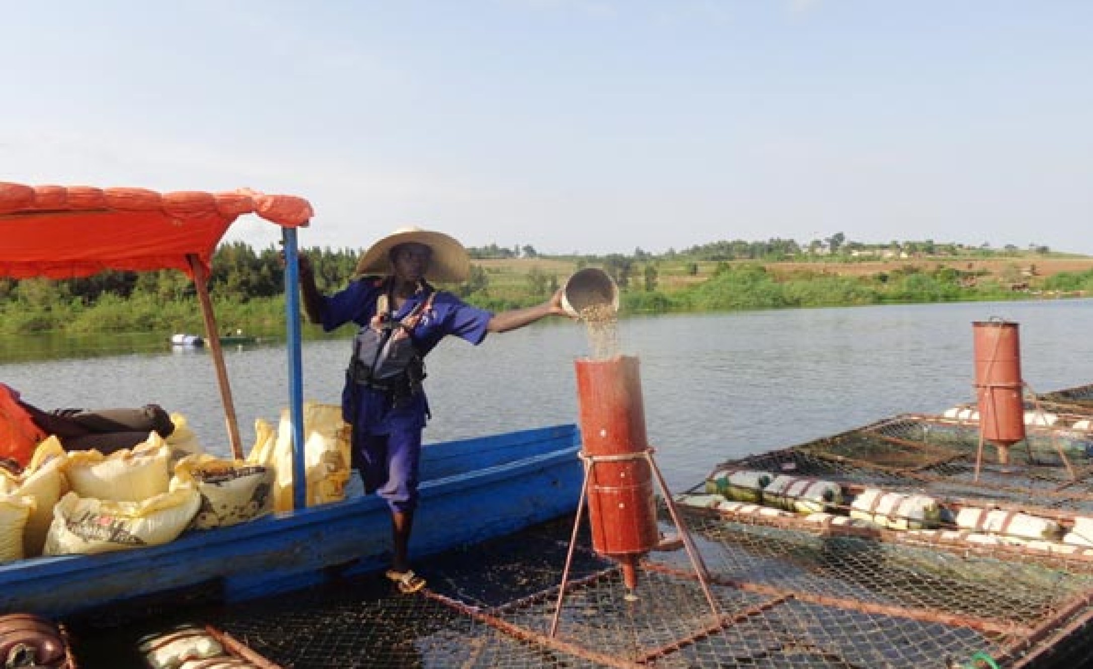 Uganda Exporting Fish Maws Gets More Lucrative, Competitive in Uganda