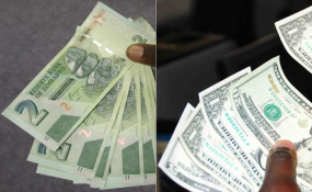 Zimbabwe Zanu Pf Admits Currency Chaos Allafrica Zimbabwe Zanu Pf Admits Currency Chaos