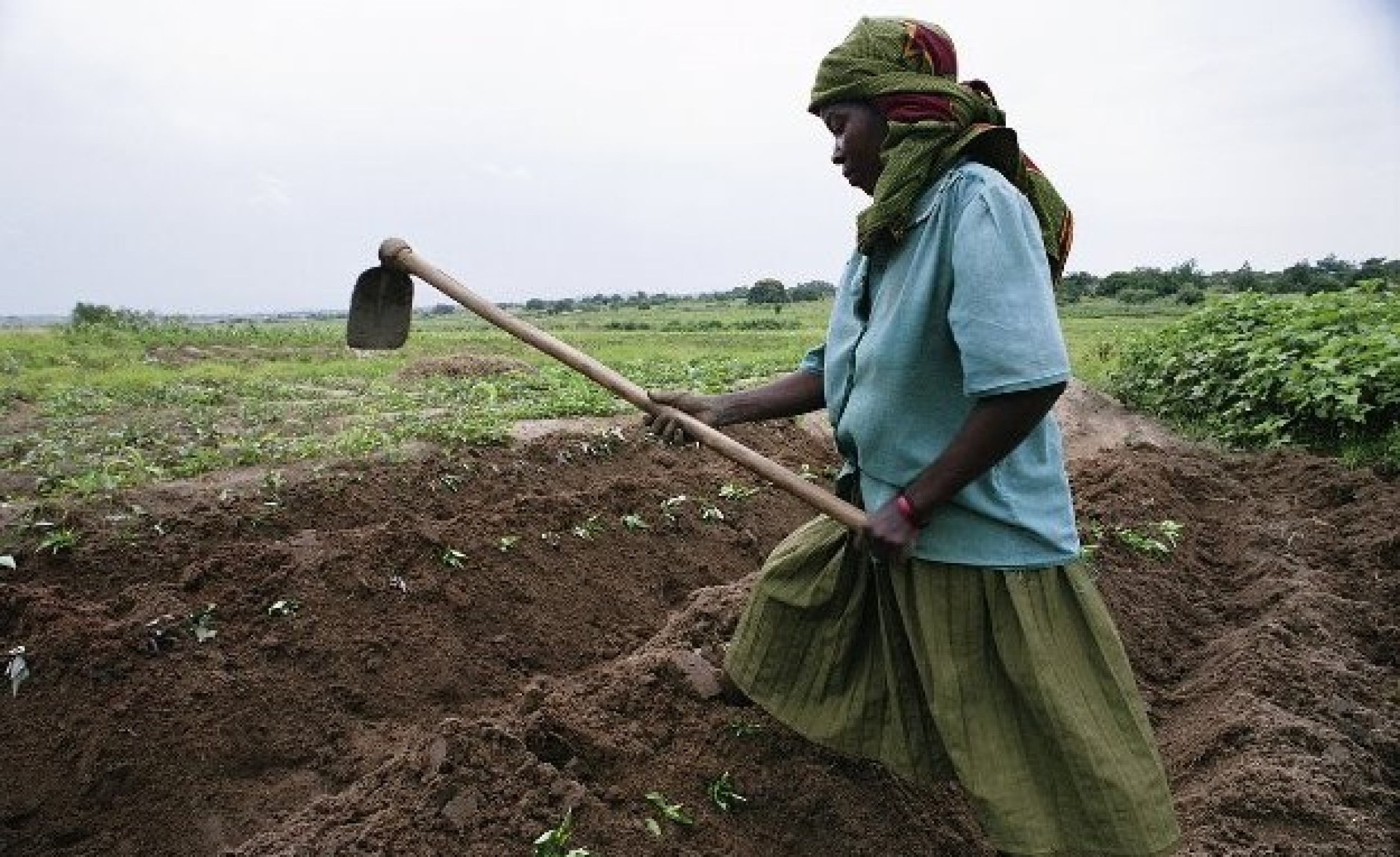 tanzania-what-a-lean-year-for-farmers-herders-allafrica