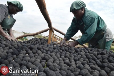 'Eco Flame' charcoal briquettes, which are made out of human waste.