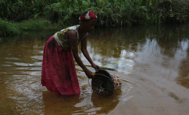 Seeking Justice and Reparations over Maher Massacre in Liberia