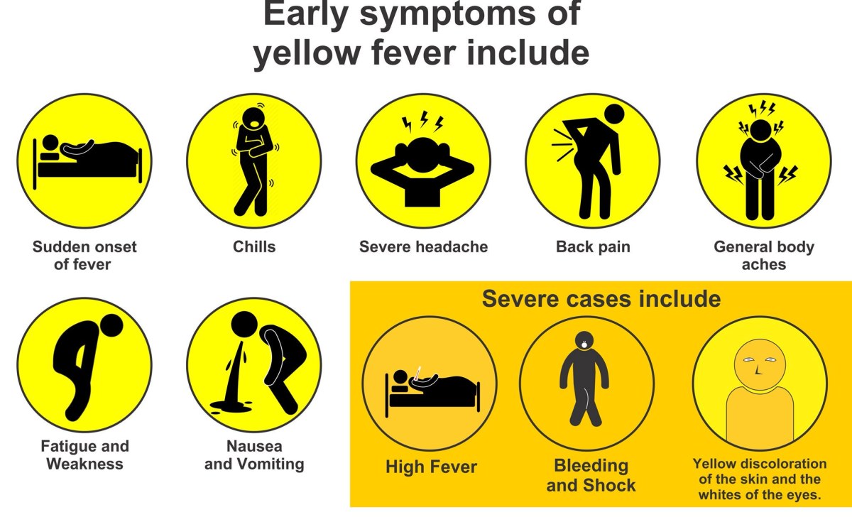 yellow-fever-in-7-nigeria-states-why-vaccination-is-critical