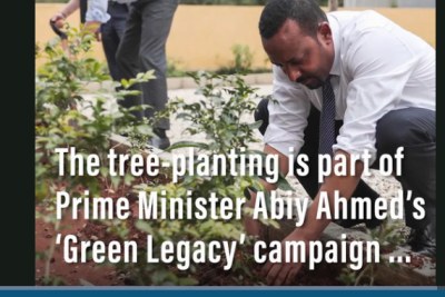 Prime Minister Abiy Ahmed gets his hands dirty.