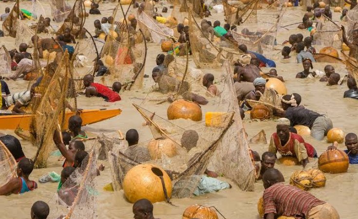 Nigeria: Argungu Fishing Festival Bounces Back 10 Years After ...
