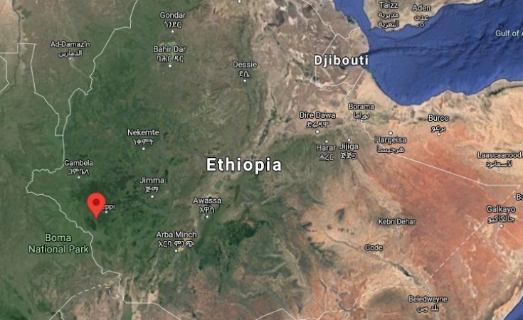 Ethiopia: News - Security Forces Killed, Thousands Displaced in Fresh ...
