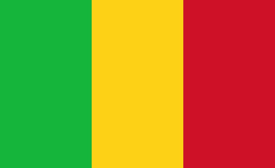 Mali: Protesters Denounce Mali Government's 5-Year Transition