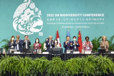 Delegates applaud the adoption of the Kunming-Montreal Global Biodiversity Framework on December 19, 2022.