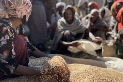 A beneficiary sorts food rations at a WFP food distribution in Tigray Region’s Southern zone (file photo).