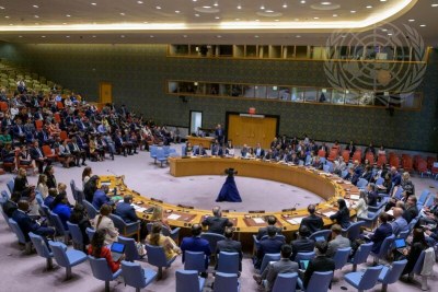 The UN Security Council meeting on famine and conflict-induced global food insecurity.