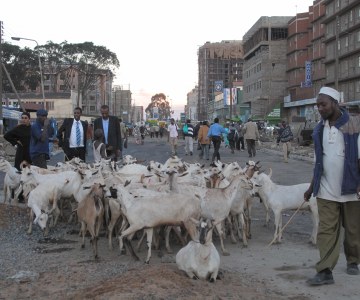 eid al adha 2009, Kenya